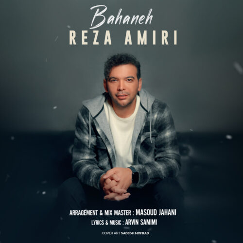 رضا امیری بهانه